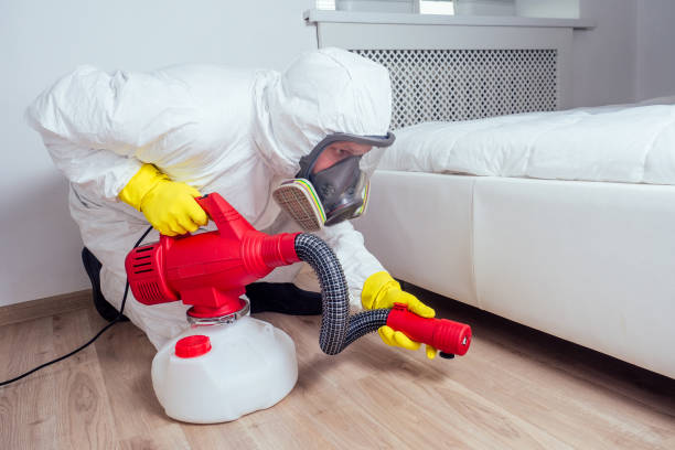  Rocky Ford, CO Pest Control Pros