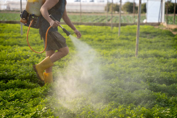 Reliable Rocky Ford, CO Pest Control Solutions