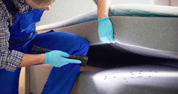 Best Commercial Pest Control Services  in Rocky Ford, CO