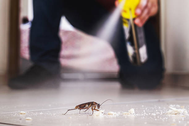 Best Affordable Pest Control Services  in Rocky Ford, CO
